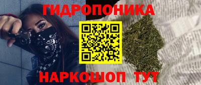 ПСИЛОЦИБИНОВЫЕ ГРИБЫ Гусиноозёрск